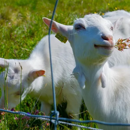 Experience Comfort, Ideal For Small Groups Apartman Beitostolen